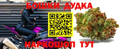 спиды Будённовск