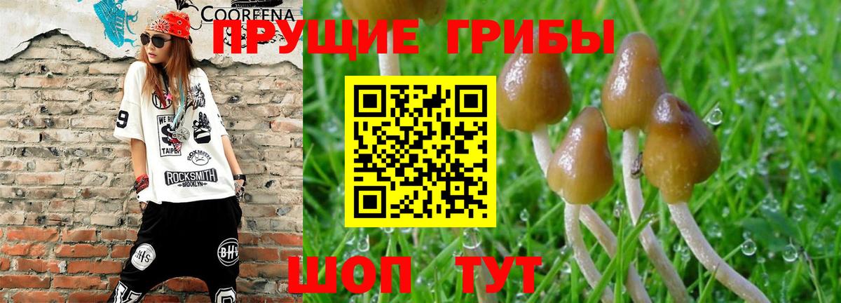 Муравленко  Галлюциногенные грибы ЛСД  Вход с VPN  цены наркотик  Псилоцибиновые грибы GOLDEN TEACHER 