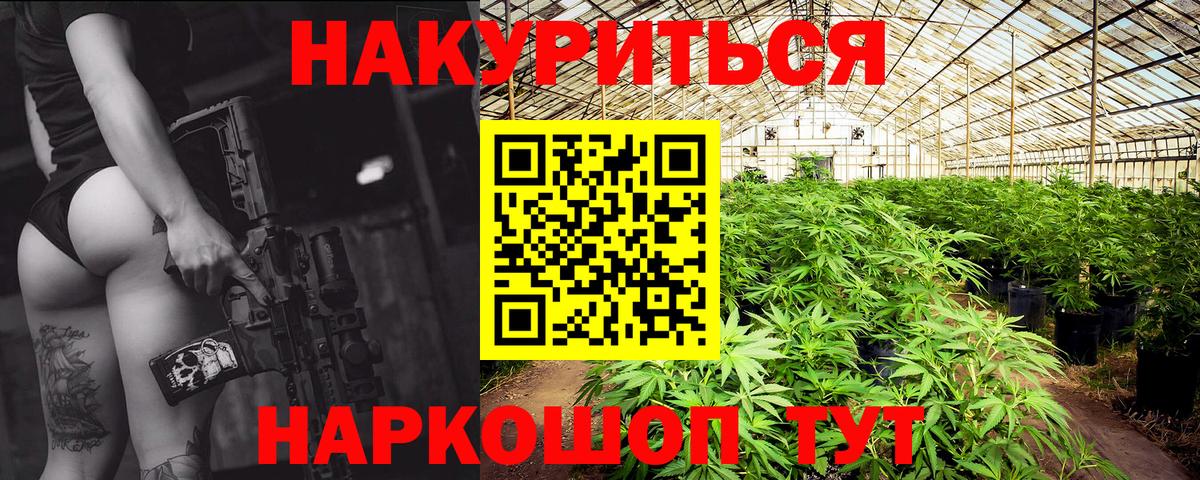 Муравленко  Бошки Шишки MAZAR  Вход с VPN  МАРИХУАНА тримм  Конопля план 